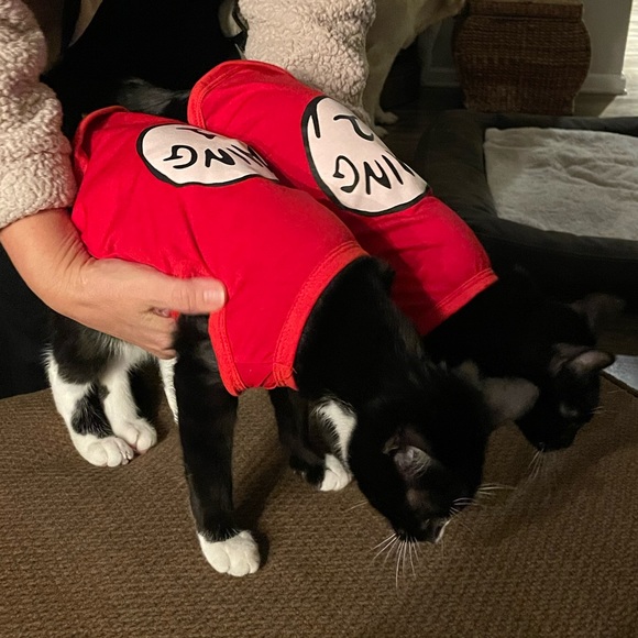 Thing 1 Thing 2 Dr. Seuss pet costume dog or cat - Picture 7 of 8